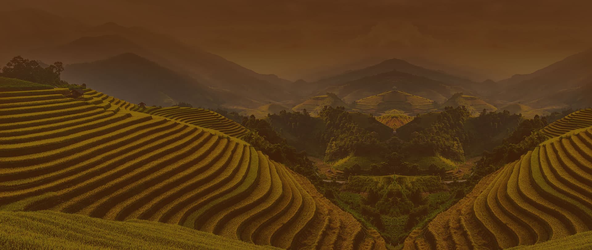Footer background